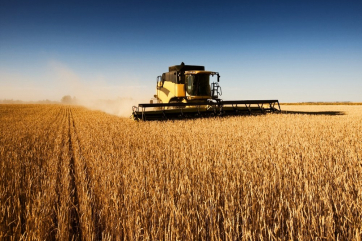 Пошлины на сельхозпродукцию хотят рассчитывать в рублях